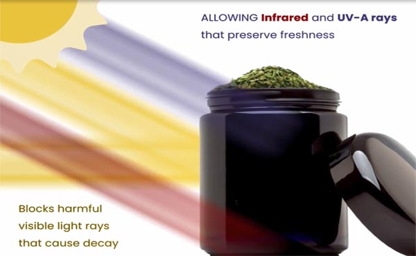 How Violet Glass Jars Preserve Food